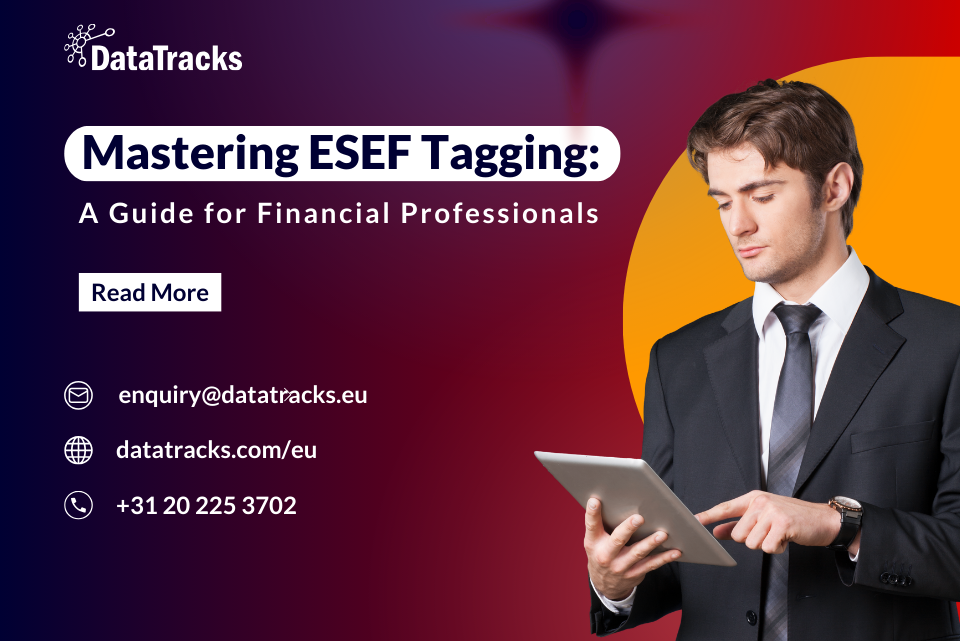 Mastering ESEF Tagging A guide for Financial Professionals