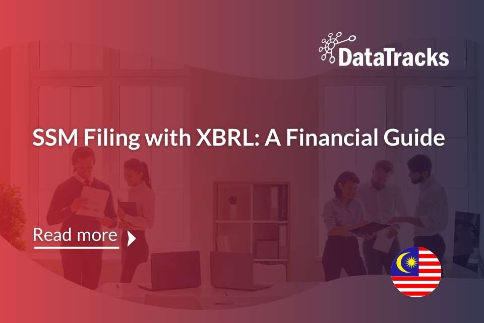 SSM Filing with XBRL A Financial Guide_DataTracks