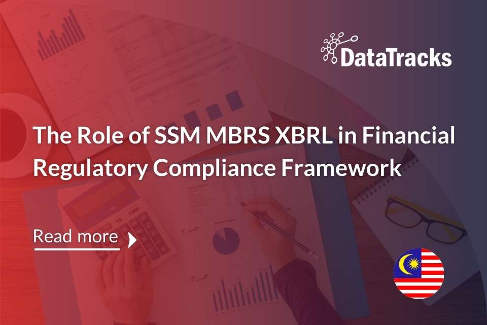 The Role of SSM MBRS XBRL in Financial Regulatory Compliance Framework